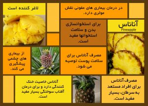 ananas P (1)