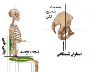 spine_sitting