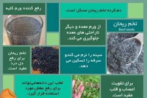 basil-seeds-health-fact-graphic