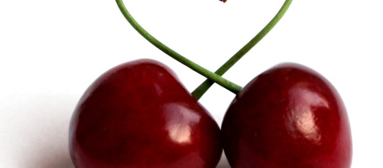 Cherry love