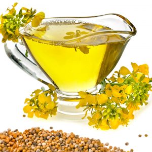 canola-oil