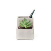 PL02-S-SMALL-PLANTER-PEN-HOLDER-FRONT