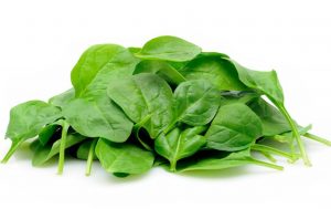 Young spinach leaves in isolated white background
