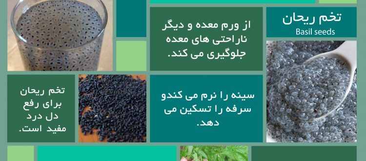 basil-seeds-health-fact-graphic