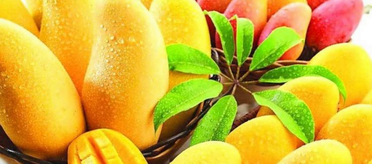 health-benefits-of-mangos-6-1-1200x800